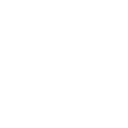 Nexoryx