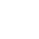 Nexoryx